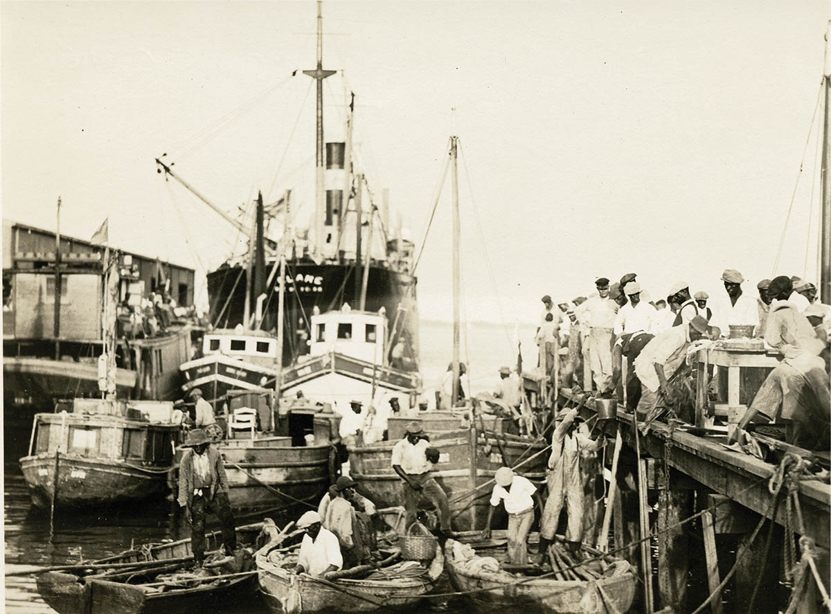Harbor Heritage: How Charleston’s Mosquito Fleet Brought Fresh Catches to Market