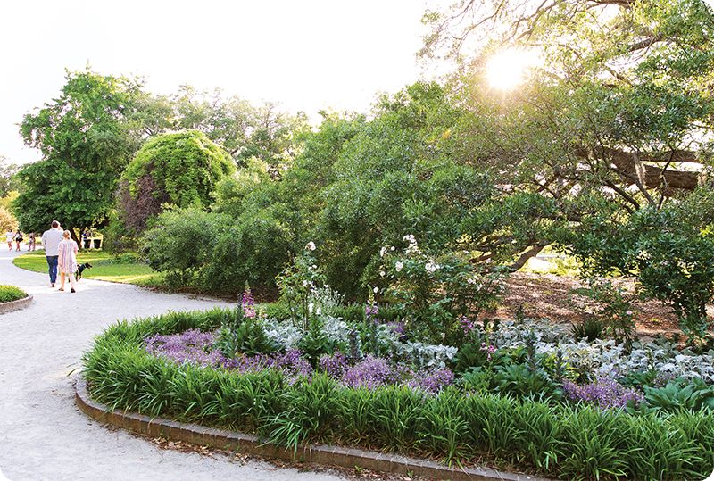 10 Amazing Places to Enjoy Springtime Around the Lowcountry