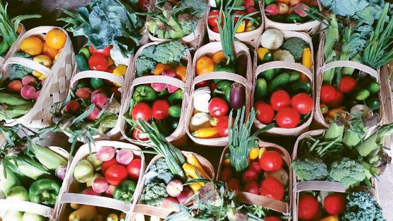 Veggie Delivery