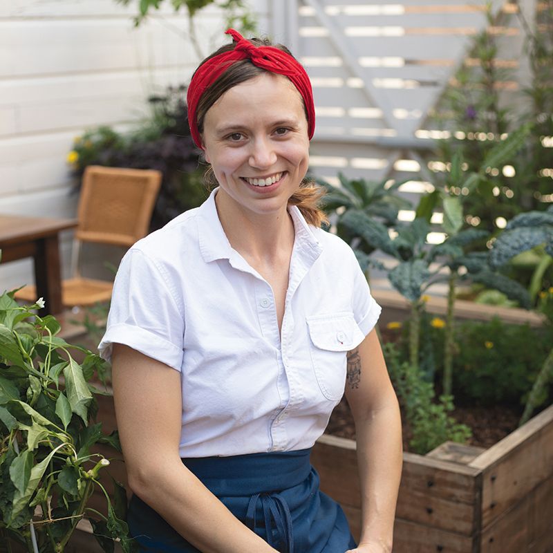 15 Minutes with Robin Hollis