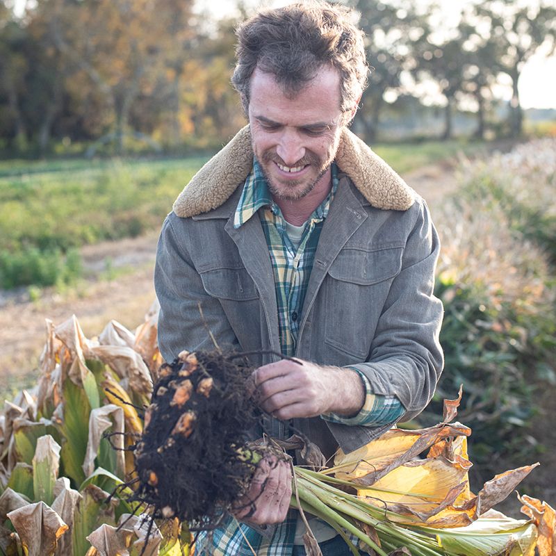 Meet the Turmeric Guru of Charleston