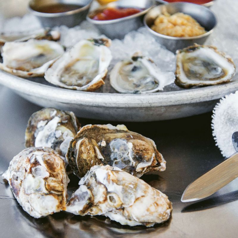 How to Shuck Oysters Like a Pro
