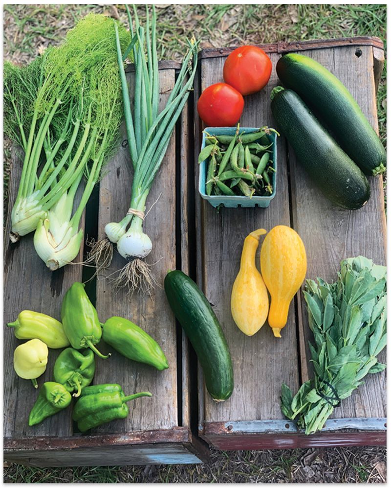 Get your veggies, and more, from these farm-fresh subscription services