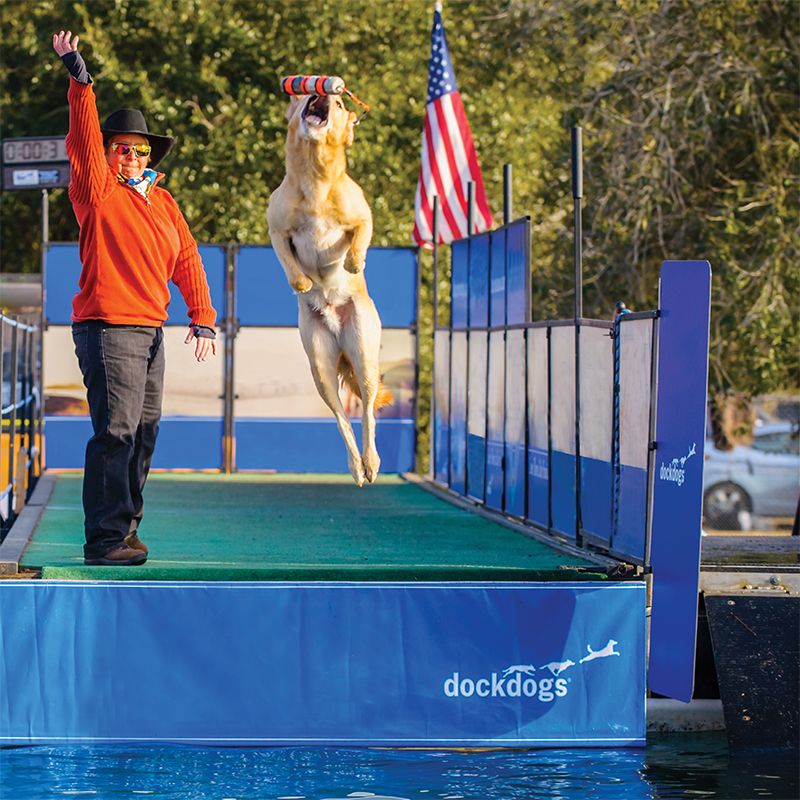 Local DockDogs champions Deb Feller and her Lab, Doni, reach great heights