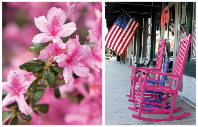 Small Town Charm: Discover the Allure of Historic Summerville