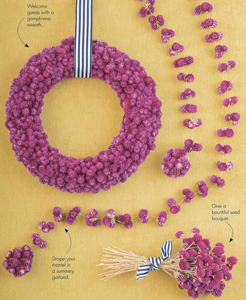 Bright Ideas for Crafting with Gomphrena