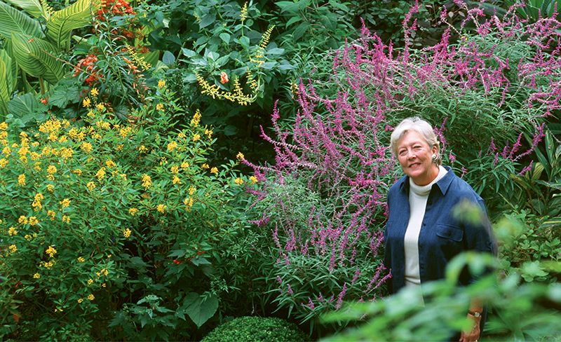 The Constant Gardener