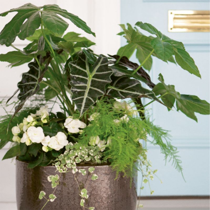 Abide A While’s Container Garden Is Made in the Shade