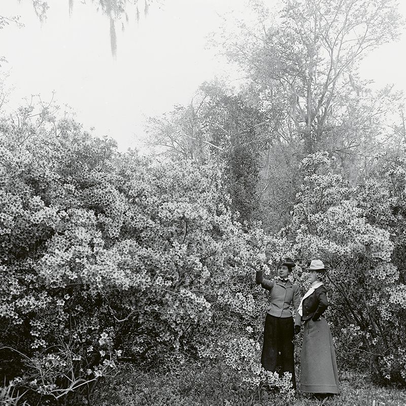 Enchanted April