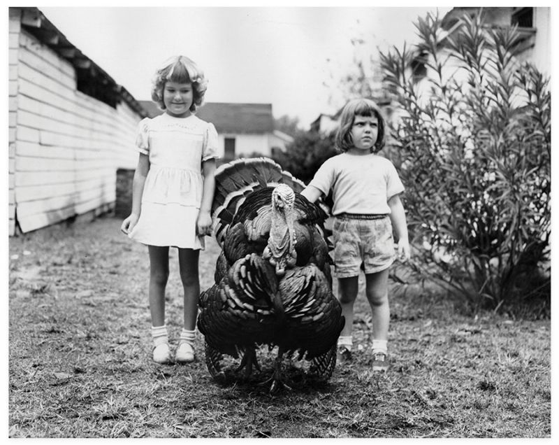 Turkey Time: See a Lowcountry gobbler from the 1940s