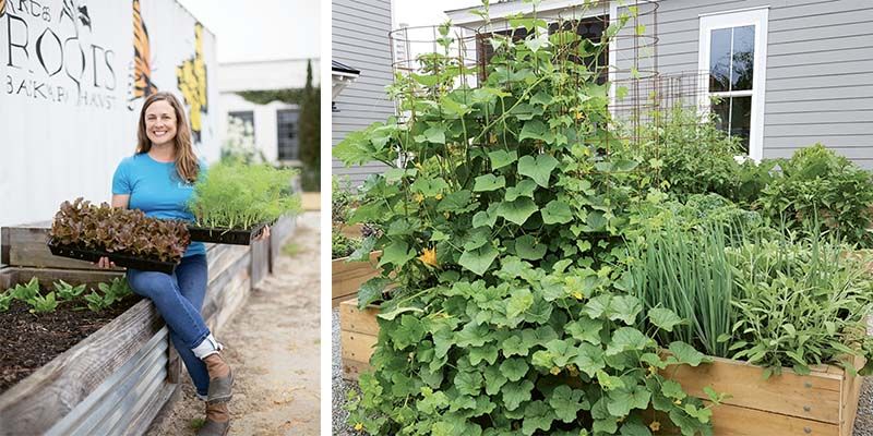 Garden Guru