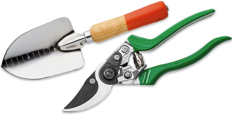 Gardening: January 2018