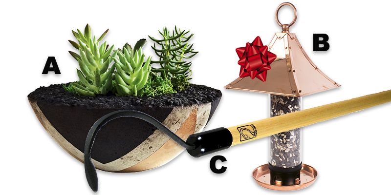 Gardening: December 2017
