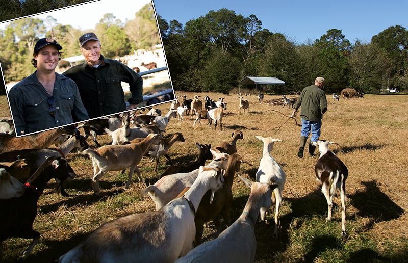 Got Their Goats
