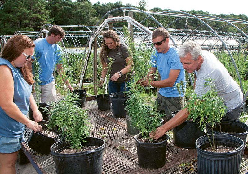 A Growing Industry