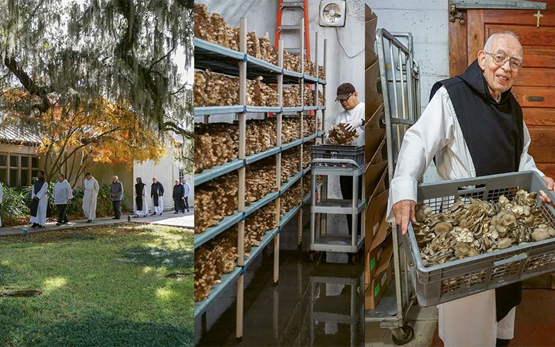 Holy ’Shrooms
