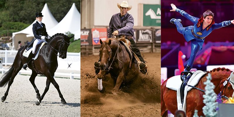 Horse Sports 101