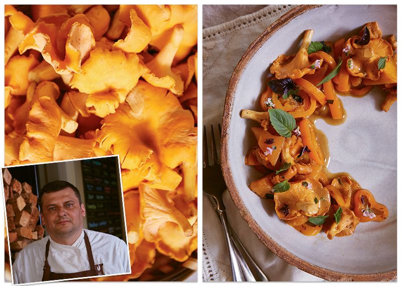 How to Cook with Chanterelles