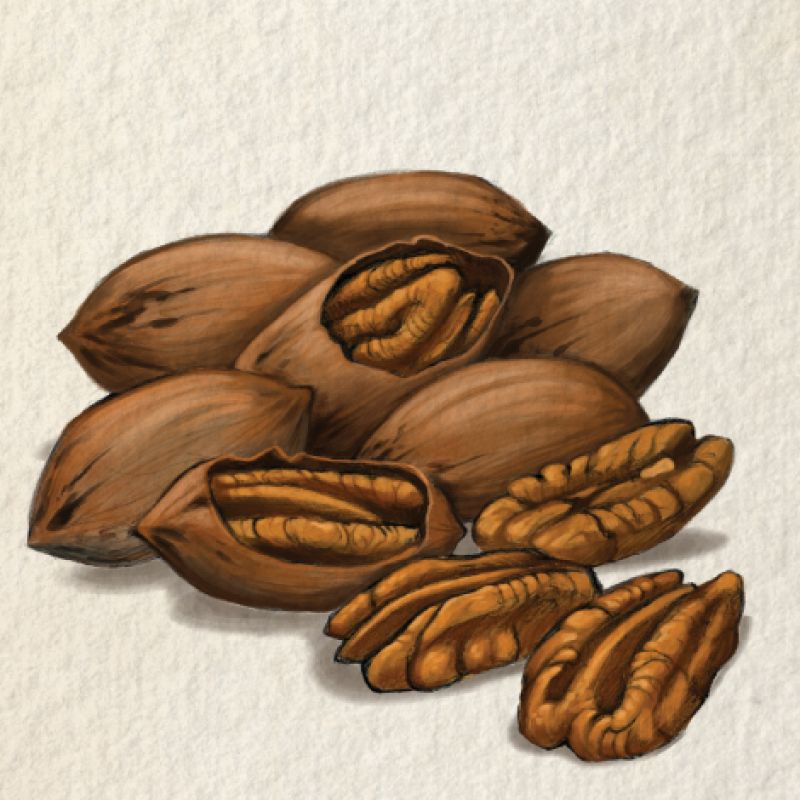 Pecans