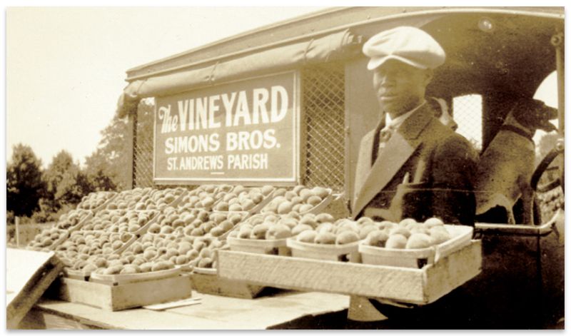 Learn about the juicy history of peaches in Charleston