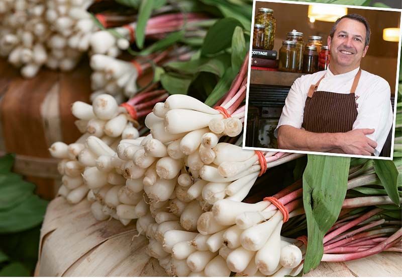 How to Make Pickled Ramps