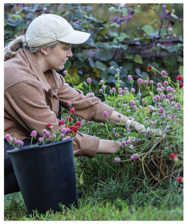 Charleston Park Conservancy cultivates community with its cut-flower program and the state’s first food forest