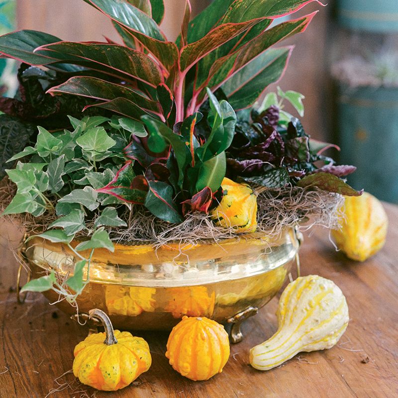 A Simple Centerpiece