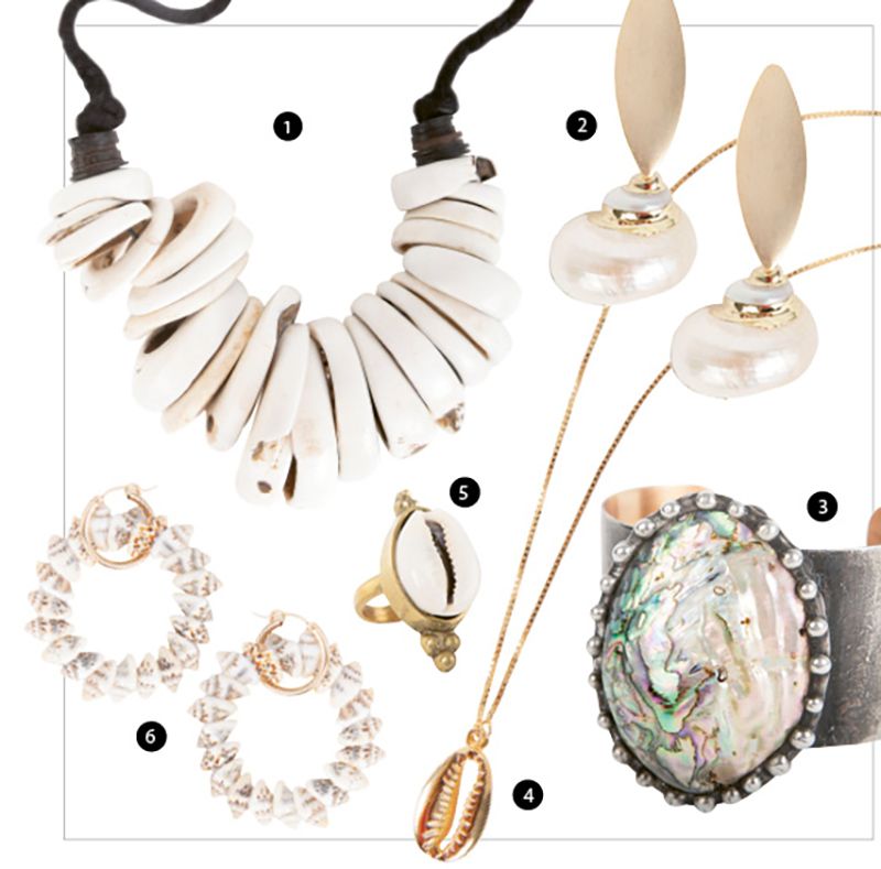Rock the Shells