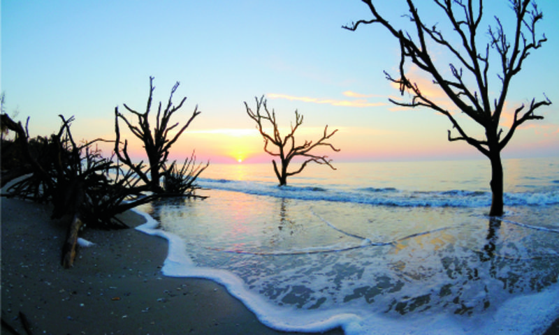 Shifting Sands
