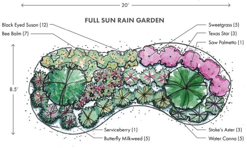 Planting Rain Gardens to Capture Stormwaters and Attract Pollinators
