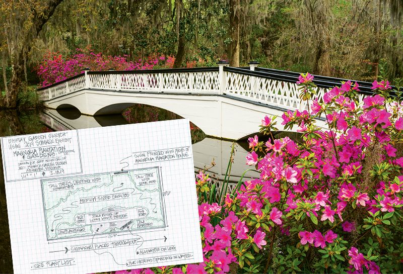 Charleston’s Magnolia Effect