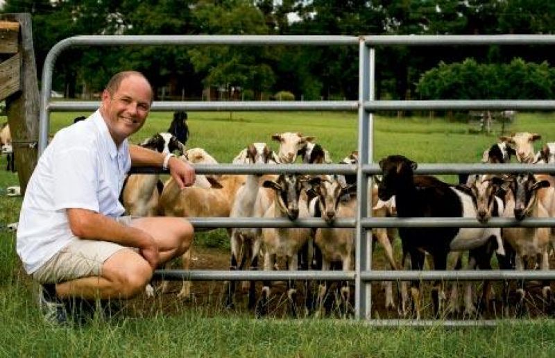 Get Your Goat