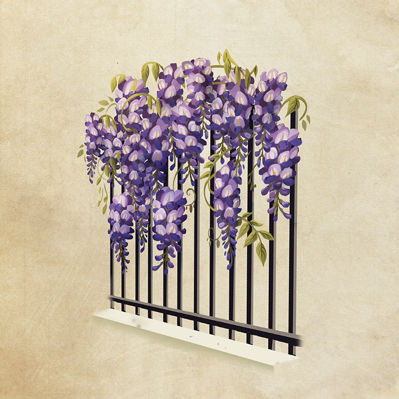 Wisteria's Purple Reign is a Sure Sign of Spring