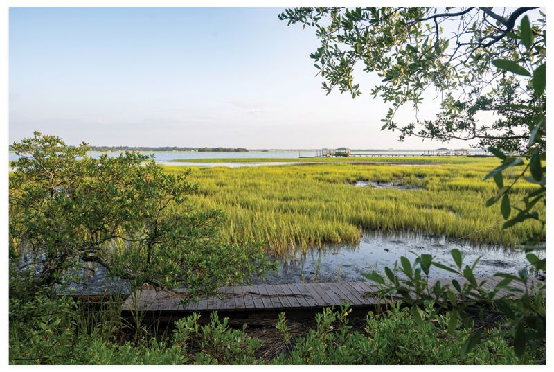 The Water Front: Meet the advocates making Charleston’s aquatic environment happier, healthier, and more equitable
