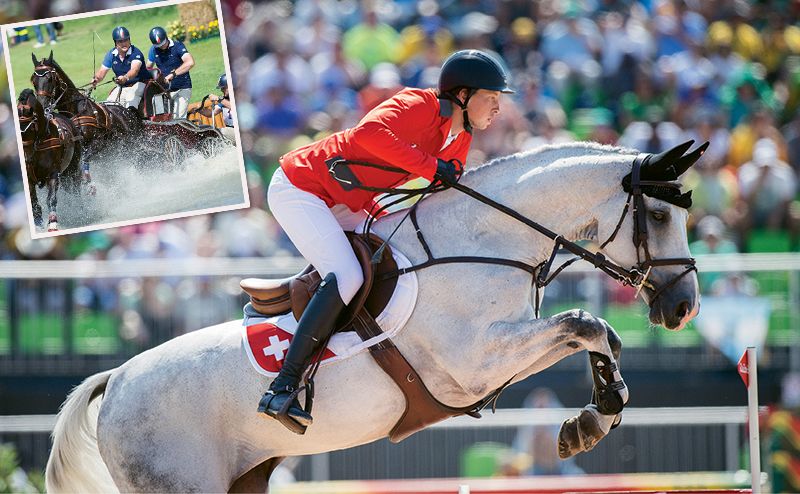 Welcome to the World Equestrian Games