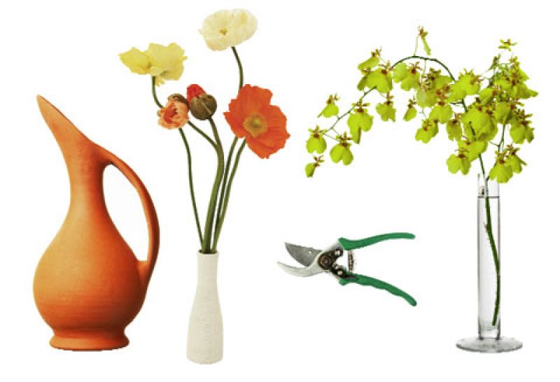 The Basics: Arranging Flowers