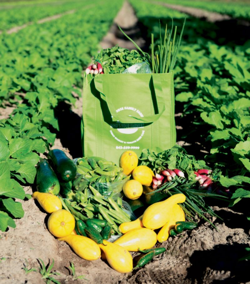 Community Supported Agriculture: Ambrose Family Farm