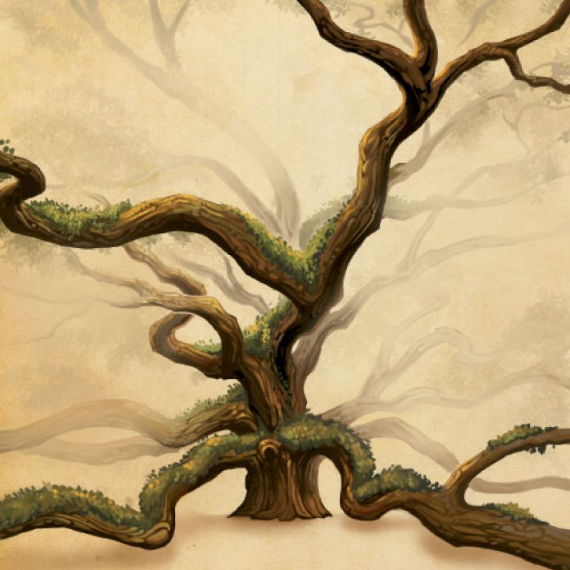 Angel Oak