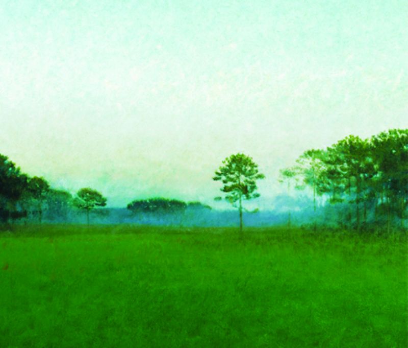 Beyond the Horizon