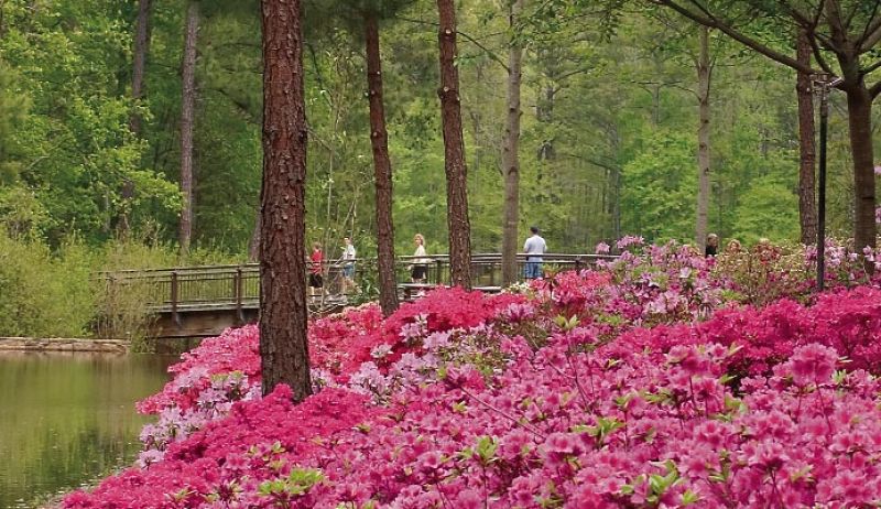 Callaway Gardens near Atlanta