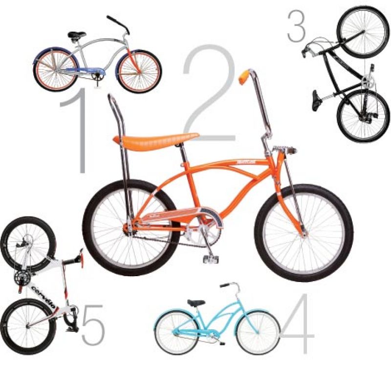 Ready to Roll?