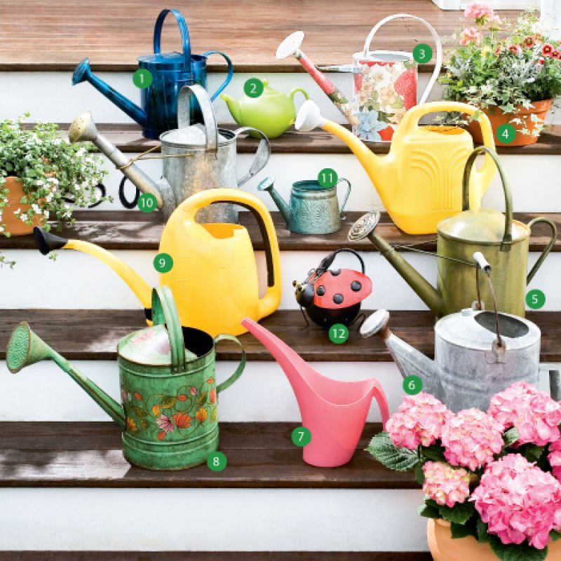Bring on the Blooms