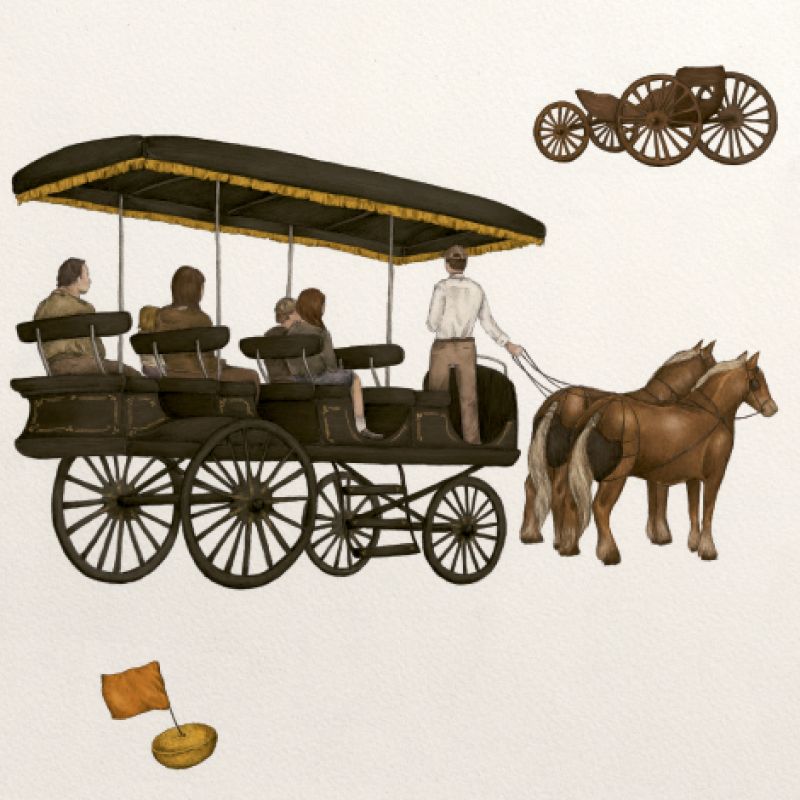 Horse & Carriage