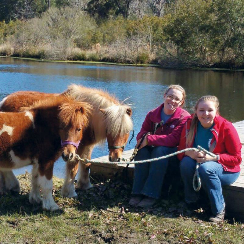Nonprofit of the Year Finalist, L.E.A.R.N. Horse Rescue