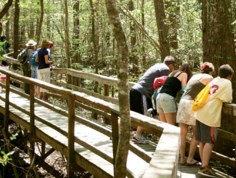 Congaree National Park