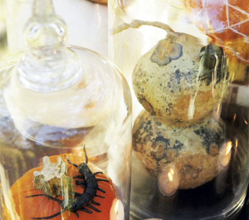 4 Inventive Pumpkin Crafts