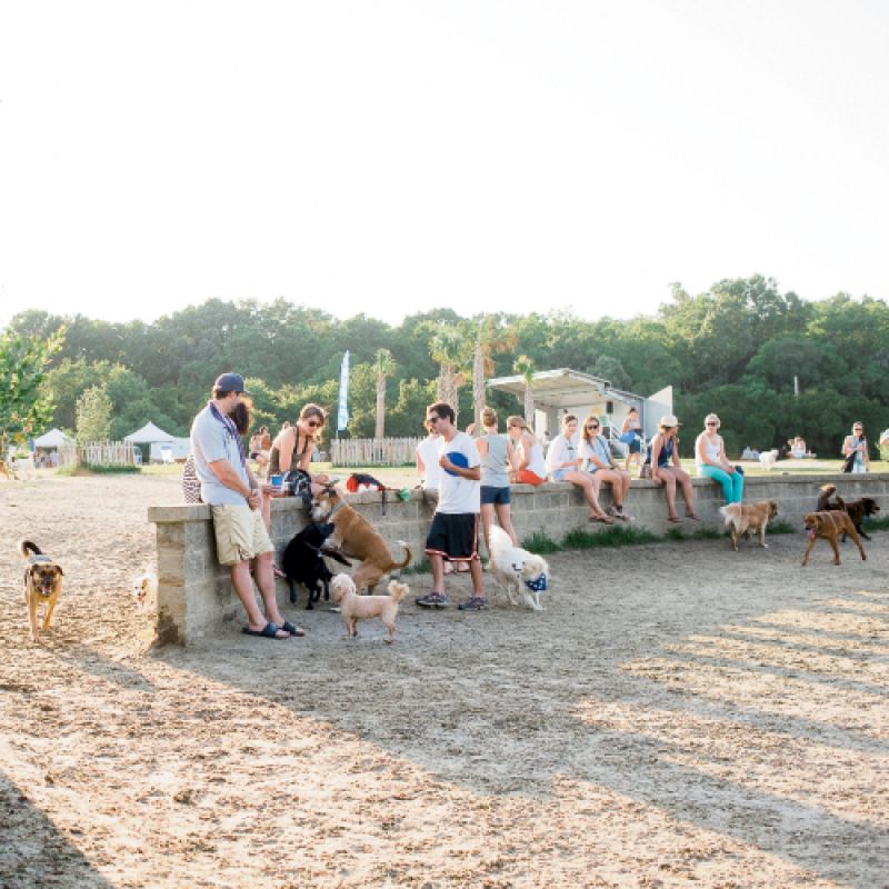 Yappy Hours