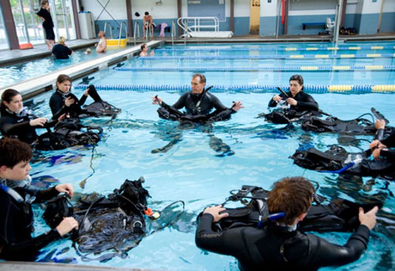Dive In!
