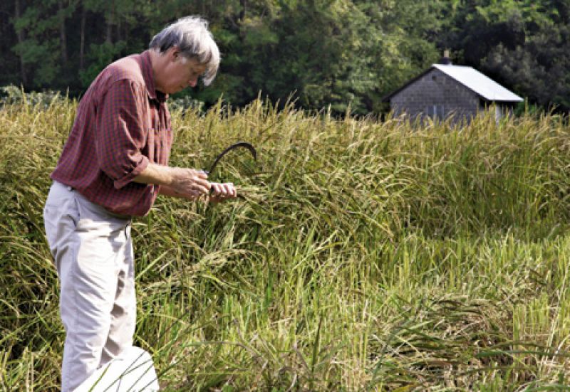 Tops in His Field