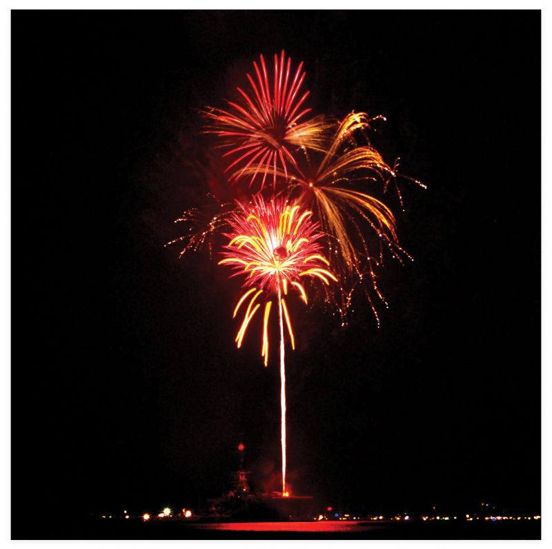 Fourth of July Fun